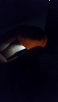 20171105_112906.jpg
