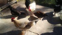 20171012_154131.jpg