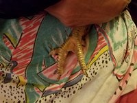 20171028_194558.jpg