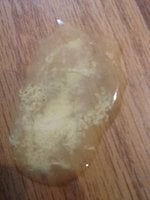 poep dexie (internal laying).JPG