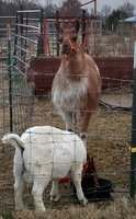 IMG_20161210_075536.jpg