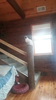 20171108_102630.jpg