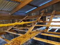 roosting area 2.jpg