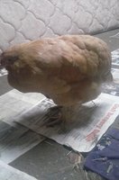 20171108_172039.jpg