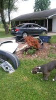 20170801_194227.jpg