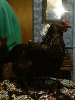 20171109_205100.jpg