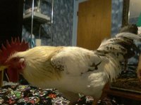 20171109_204318.jpg