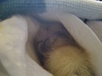 20171110_081852.jpg