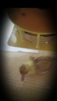 20171110_111907.png