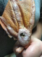 IMG_0808.jpeg