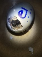 20171111_001243.jpg