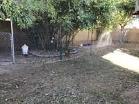 8F164566-7494-49FF-B203-961403247ED1.jpeg 8F164566-7494-49FF-B203-961403247ED1.jpeg