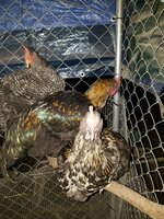 20171111_175722.jpg