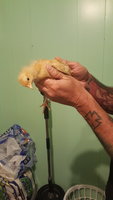 20171111_203948.jpg