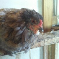 20171111_162926.jpg