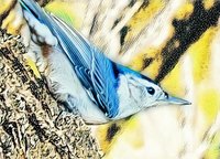 PicsArt_11-12-12.32.45.jpg