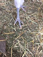 IMG_0456.JPG
