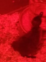 20171112_124928.jpg