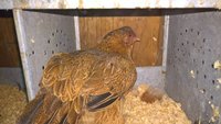 WP_20171112_17_23_02_Pro.jpg