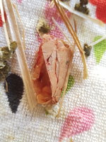 20171113_160033.jpg