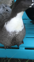 D02D7ED3-E4BA-4DA0-9B58-2866CA1CC3F6.png