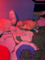 IMG_20171113_100131.jpg