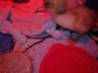 IMG_20171113_100143.jpg