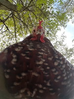 20170427_190713.jpg