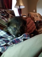20171111_132145_1510430160149_001.jpg