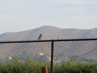20171113_075402.jpg