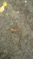 20171112_080736.jpg