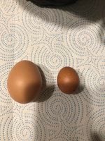 9A9477F3-9AFE-470C-8A05-67B21BFD452D.jpeg