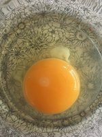 60730F21-D89C-41B4-9591-3FF50BA31B42.jpeg