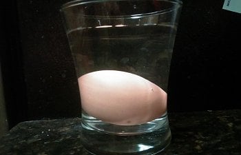 Egg Float Test—Easy Steps to Tell A Good Egg From A Bad Egg