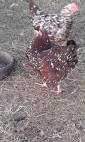 20171114_170940.jpg