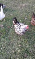 20171114_170905.jpg