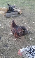 20171114_171000.jpg