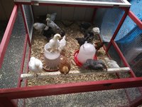 20171021_121751.jpg