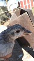 20171117_114301.jpg