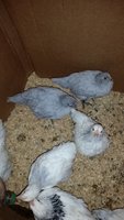 20171113_180551.jpg