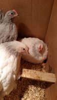20171117_204926.jpg