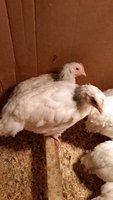 20171117_204915.jpg