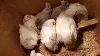 20171117_205115.jpg