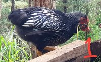 20171118_161832.jpg