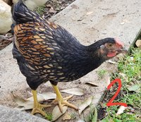 20171118_162537.jpg