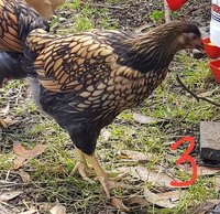 20171118_162122.jpg