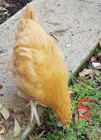 20171118_162702.jpg