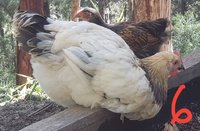 20171118_163032.jpg
