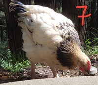 20171118_162943.jpg