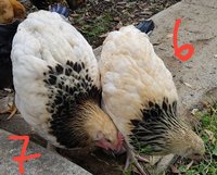 20171118_162917.jpg